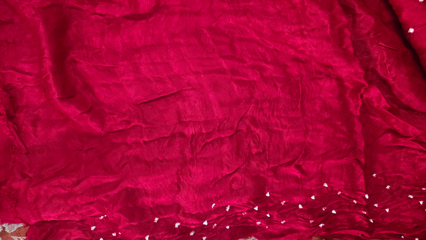 Multi Rainbow Palla Red Gajji Modal Bandhej Bandhani saree