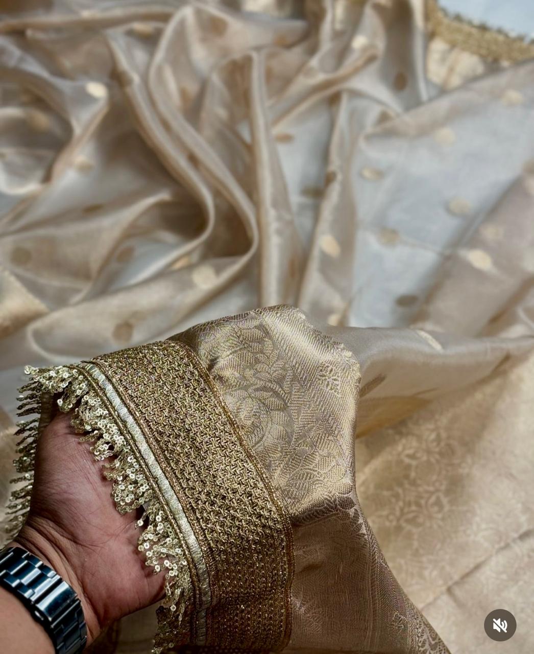Beige Golden Organza Tissue Banarasi Traditional saree