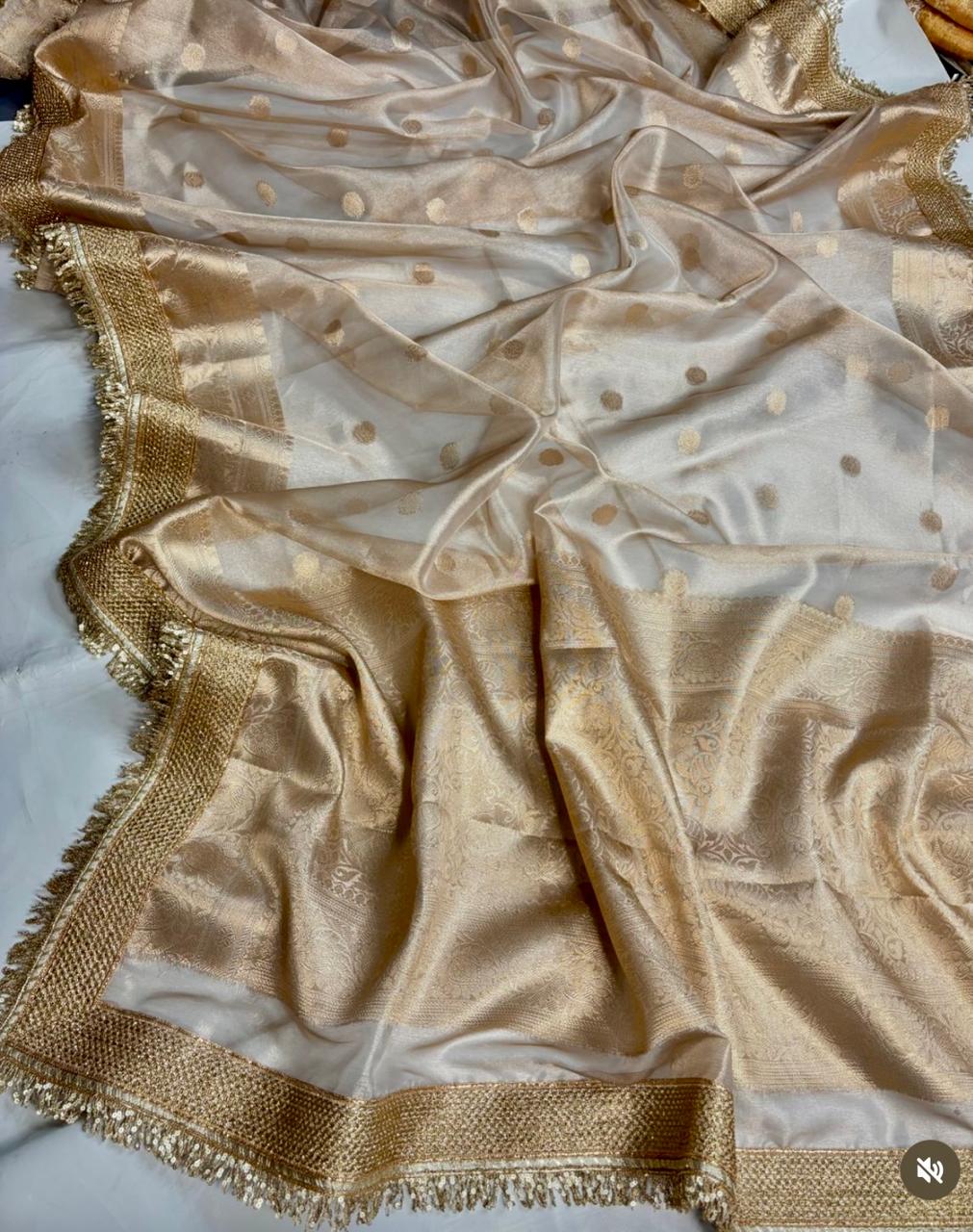 Beige Golden Organza Tissue Banarasi Traditional saree