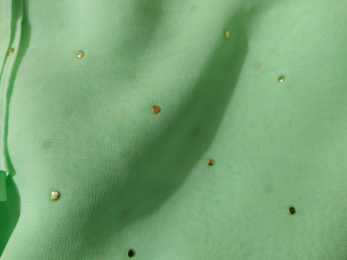 Light Green Pasted Moykesh Work Georgette Fabric Pre Cut 6 Meters FAB187 - Ethnic's By Anvi Creations