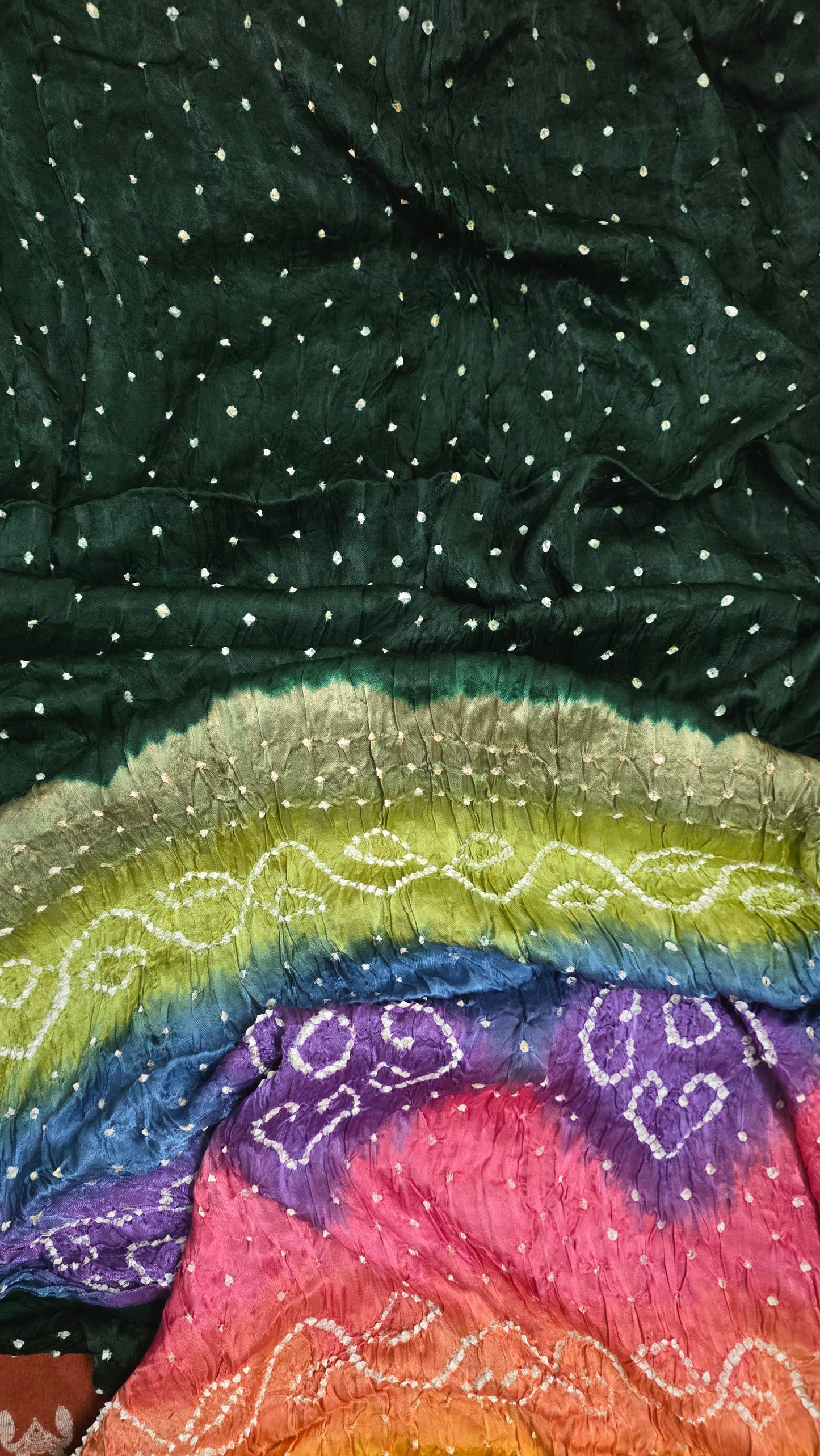 Multi Rainbow Palla Bottle Green Gajji Modal Bandhej Bandhani saree