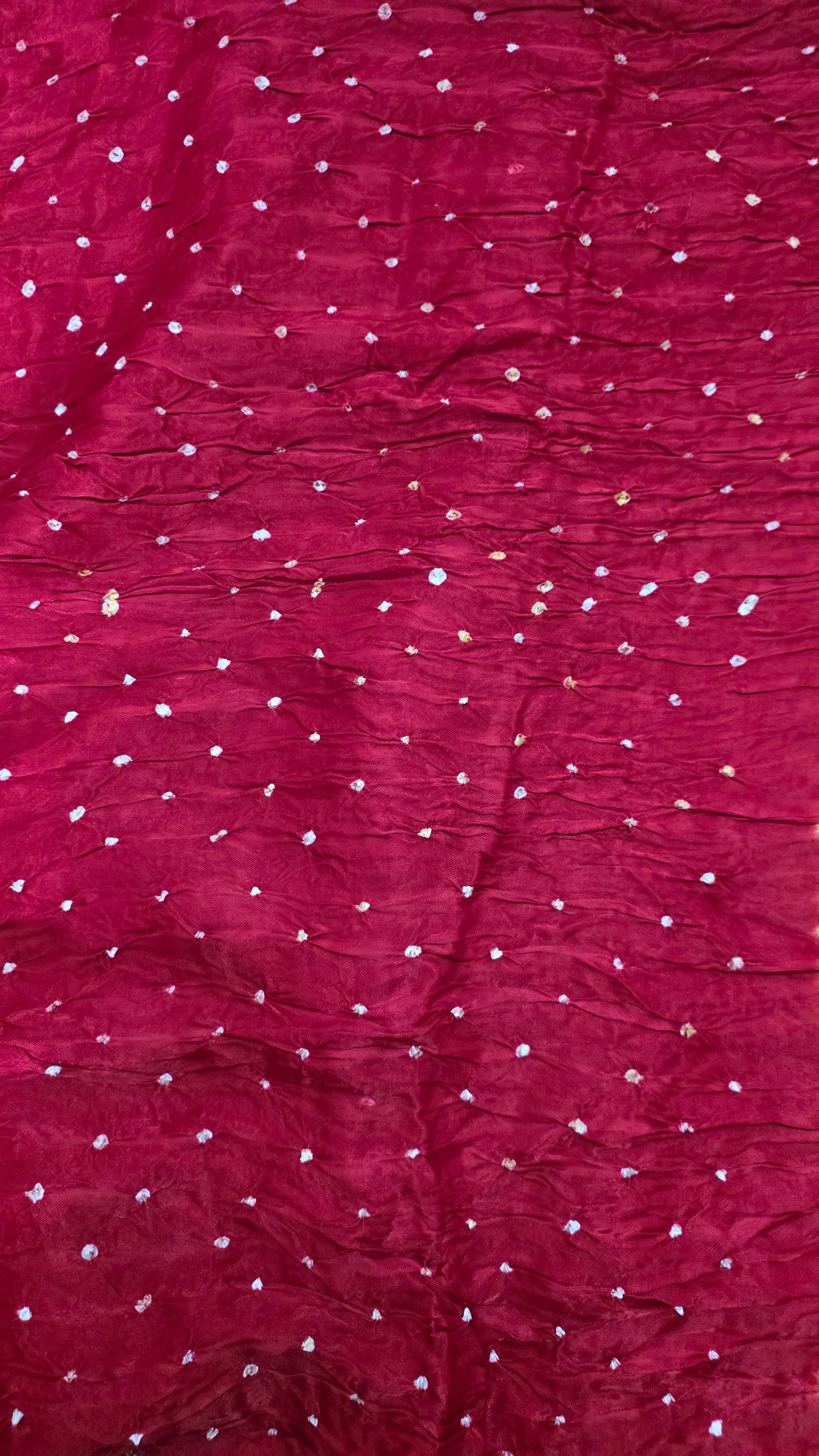 Multi Rainbow Palla Red Gajji Modal Bandhej Bandhani saree