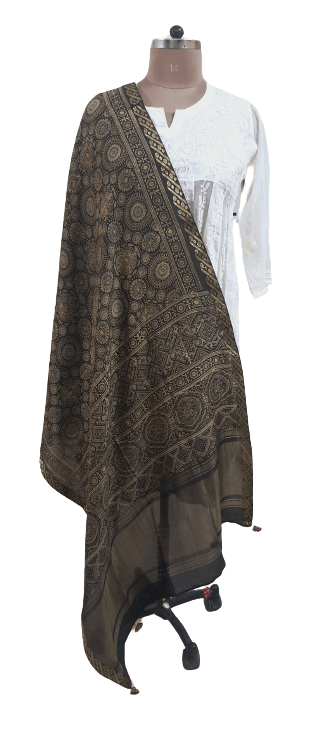 Black Munga Silk Ajrakh Printed Dupatta With Weaving Border and palla DP99 - Ethnic's By Anvi Creations