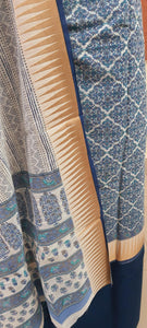 Light Blue Handloom Border Printed Cotton Suit EV19