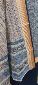 Light Blue Handloom Border Printed Cotton Suit EV21
