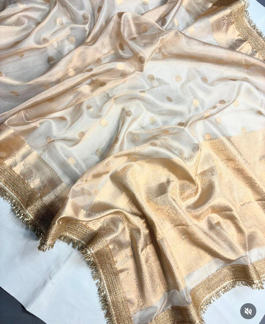 Beige Golden Organza Tissue Banarasi Traditional saree