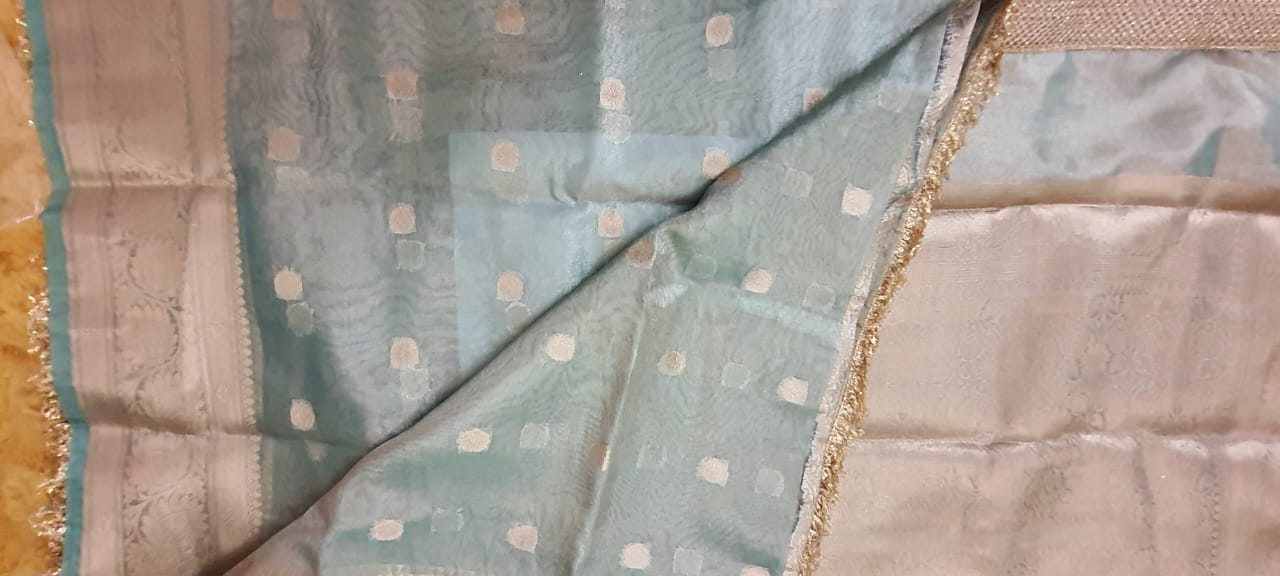 Turquoise Organza Tissue Banarasi Traditional saree