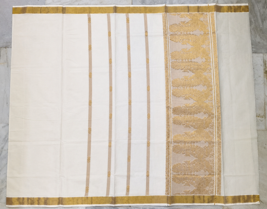 Off White Cotton Silk Gold Border saree SHC2
