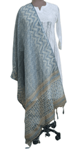 Load image into Gallery viewer, Light Blue Digital Printed Linen Cotton Dupatta DP62 - Ethnic&#39;s By Anvi Creations
