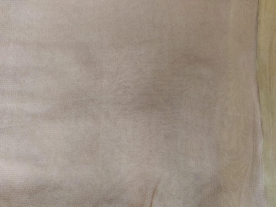 Zari Edge Plain Solid Beige Chiffon Fabric Pre Cut 6.5 Meters FAB214 - Ethnic's By Anvi Creations